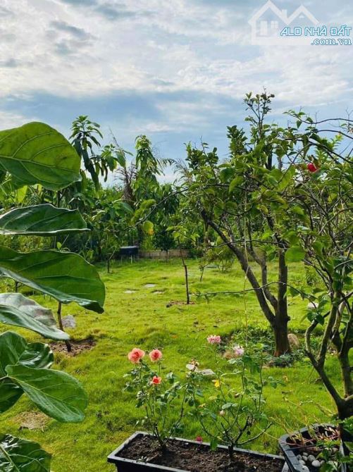 NHÀ VƯỜN GẦN BIỂN, GẦN CAO TỐC,  SẴN THỔ CƯ, VƯỜN CÂY ĂN TRÁI - AO SEN TUYỆT ĐẸP - 12