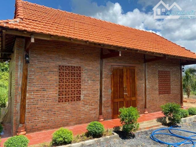 NHÀ VƯỜN GẦN BIỂN, GẦN CAO TỐC,  SẴN THỔ CƯ, VƯỜN CÂY ĂN TRÁI - AO SEN TUYỆT ĐẸP - 14