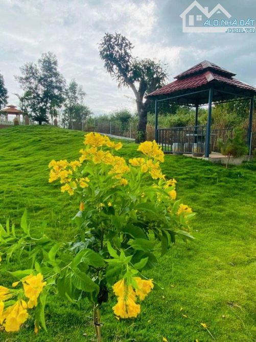 NHÀ VƯỜN GẦN BIỂN, GẦN CAO TỐC,  SẴN THỔ CƯ, VƯỜN CÂY ĂN TRÁI - AO SEN TUYỆT ĐẸP - 15