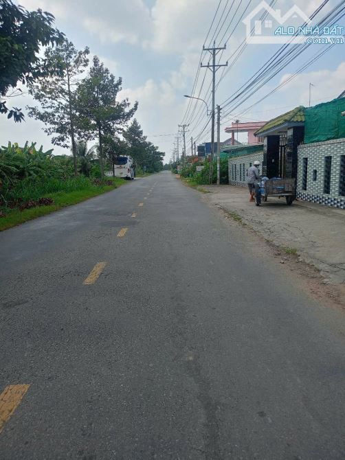 Đất Mt đường Trần Văn Đấu, P Tân Khánh, TP Tân An - 2