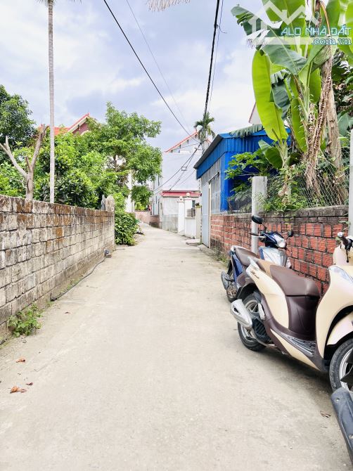 Bán đất Lâm Động - Thuỷ Nguyên ✅ trục thôn vào thẳng tắp 👉 giá 2,3x tỷ - 2