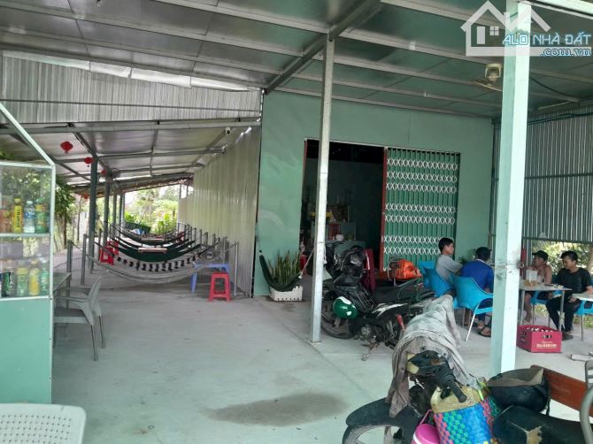 Bán đất mặt tiền đường Ql 60 gần ngã 3 trà nóc xã Song Lộc - 2