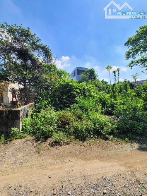 2,75Tỷ TL🔥Bán đất 113,4m2 gần Trung Tâm Y Tế Dĩ An 500m, p.Tân Đông Hiệp, Tp.Dĩ An - 2