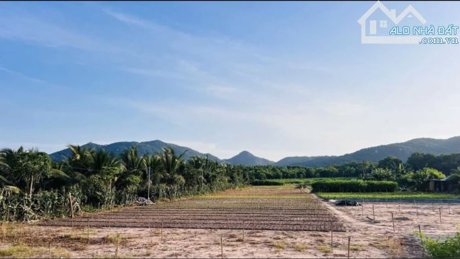 LONG MỸ VIEW NÚI CỰC ĐẸP- GẦN BIỂN PHƯỚC HẢI.dt:4873m2 - Ngang 38m x 126m-400 thổ cư - 2