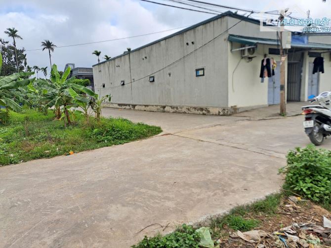 Bán lô góc 623m2 tổ dân phố Văn Xá, Quốc Tuấn chia lô, xây nhà trọ đều đẹp - 2