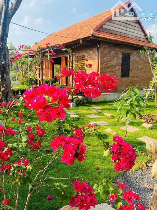 NHÀ VƯỜN GẦN BIỂN, GẦN CAO TỐC,  SẴN THỔ CƯ, VƯỜN CÂY ĂN TRÁI - AO SEN TUYỆT ĐẸP - 2
