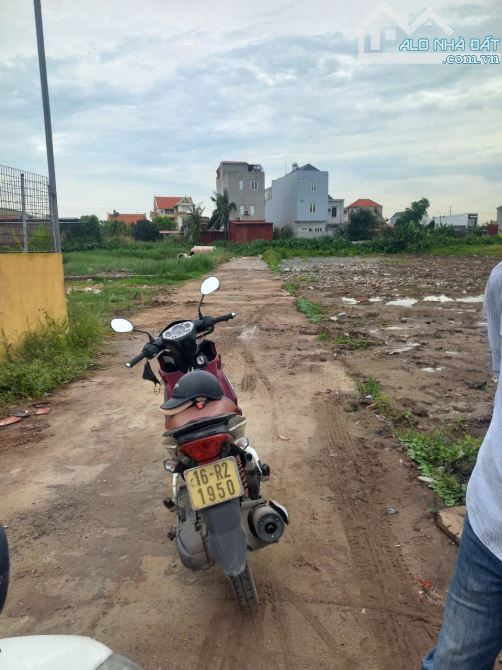 BÁN LÔ ĐẤT 100M2 TDP ĐÔNG PHONG MINH ĐỨC ĐỒ SƠN HẢI PHÒNG GAY CÔNG NGHIỆP ĐỒ SƠN - 2
