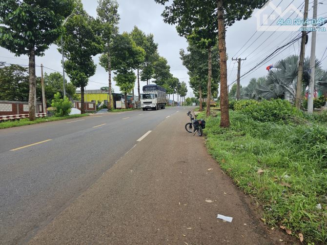 Bán Đất Phân Lô, Làm Xưỡng Mặt Tiền Đường Lê Hồng Phong, Thị Trấn Ngãi Giao, Châu Đức - 2