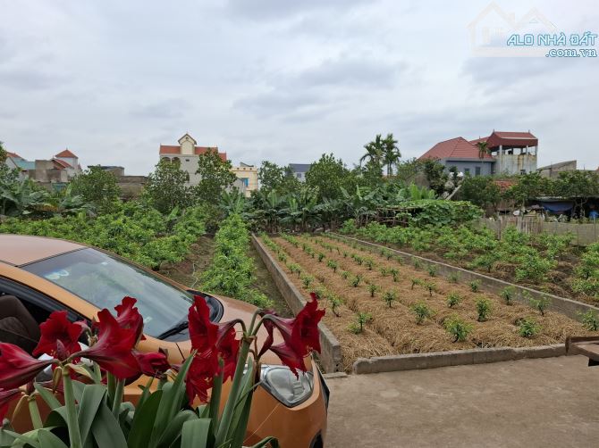 Lô đất Nội Thôn, Vân Tảo 35 triệu/m ô tô vào đất - 2