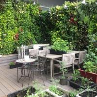 Bán Căn Penthouses Saigon Airport , 4PN, 3WC , 2 Sân Vườn , 309m2 , Sổ Hồng , 20 Tỷ - 3