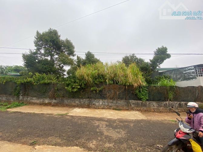 🏠🏠 lô đất hẻm Ký Con - p. Yên Thế - Gia Lai. - 3