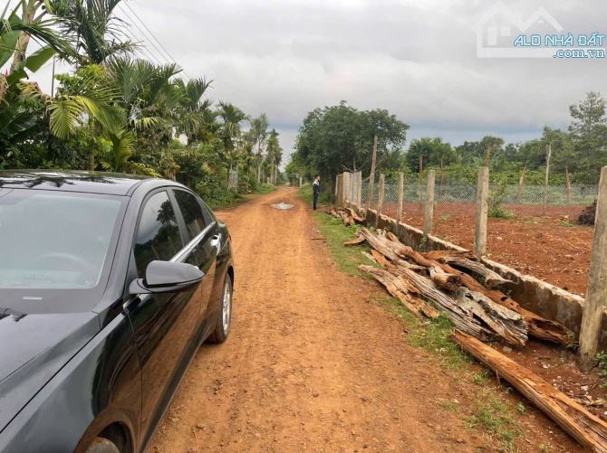 🅿️❇️LỐC 8 LÔ COUR ĐĂNG, KROA A, NHÁNH UỶ BAN XÃ, HẺM QUỐC LỘ 14, 495 TRIỆU, 5mx28m❇️ - 3