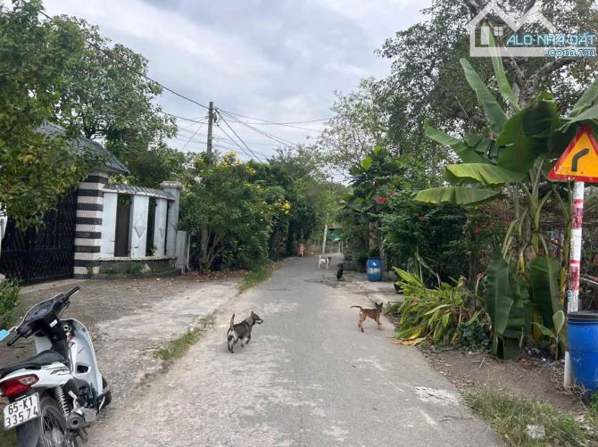 560m2 đất mặt tiền đường Nguyễn Thị Ni, xã Tân Thạnh Tây giá 4,1 tỷ - 3