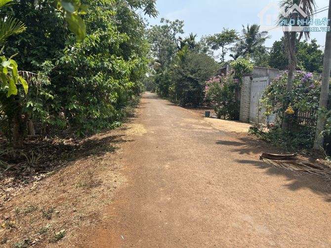 🅿️❇️ĐẤT EATU, ĐƯỜNG B5, EANAO B, HẺM NGUYỄN XUÂN NGUYÊN, 1,050 tỷ, 5mx20m❇️ - 3