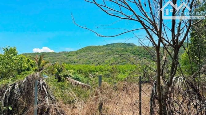 Bán 1153m2 đất Thị Trấn Phước Hải - 2 mặt tiền trước sau - 3