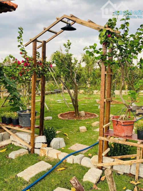 NHÀ VƯỜN GẦN BIỂN, GẦN CAO TỐC,  SẴN THỔ CƯ, VƯỜN CÂY ĂN TRÁI - AO SEN TUYỆT ĐẸP - 3