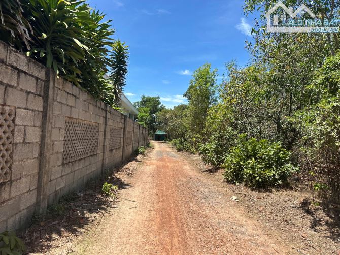 Bán 10m x 50m đất ONT Lô 2 Nguyễn Chí Thanh - TX LaGi giá mềm 1.35 tỷ - 3