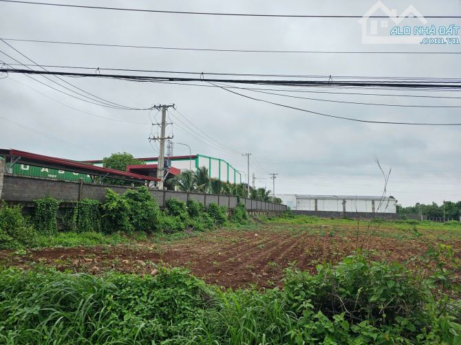 Bán Đất Phân Lô, Làm Xưỡng Mặt Tiền Đường Lê Hồng Phong, Thị Trấn Ngãi Giao, Châu Đức - 3