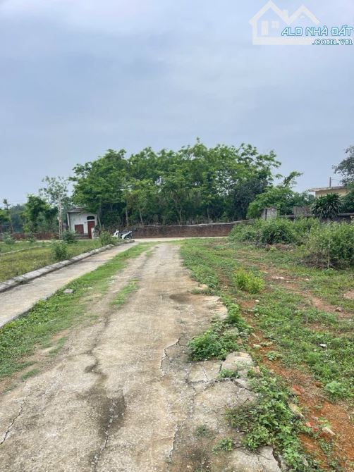 Bán đất 120,2m Linh Sơn,Bình Yên,Thạch Thất, Hà Nội - 3