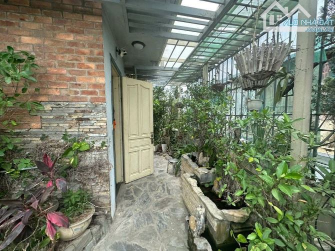 Mặt Phố Trích Sài-Lô Góc 3Thoáng-Thang Máy-view Hồ-Kinh Doanh ,Ô Tô-64Mx5Tầng Giá 60Tỷ Hơn - 3