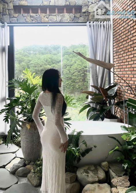 Cần bán khách sạn view đỉnh gần gũi thiên nhiên lâu lâu thấy khỉ đu cành thông - 3