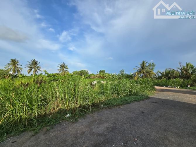 🌳 Cần bán đất nằm cuối đường Cầu Vòng ( hẻm Cây Xăng Tân Tân) một mặt giáp đường nhựa, mộ - 3