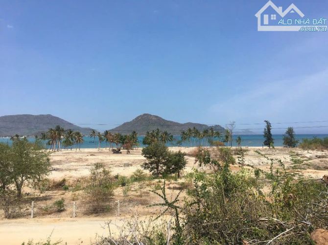 bán 10ha view biển quy hoạch đất ở và tmdv Ninh Vân Ninh Hòa - 3