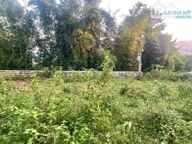 Lô Đất Khoáng Nóng Có Giếng Khoan Trong Đất - Cách Đường Liên Kết Hà Nội - Kim Bôi 80m - 3