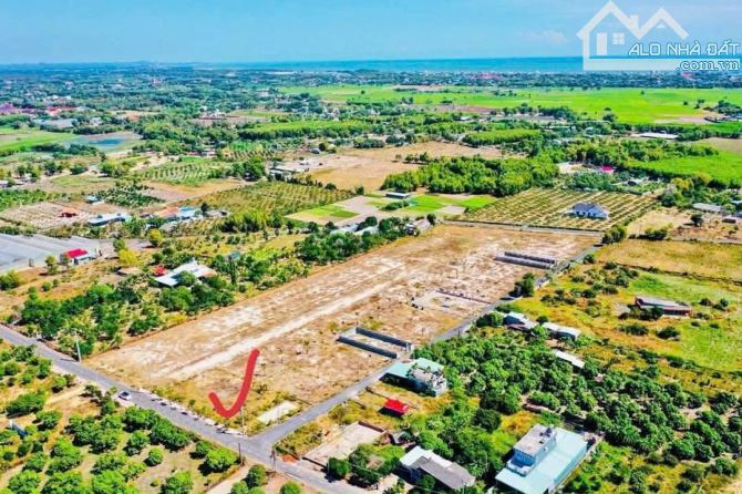 VƯỜN XOÀI THỊ TRẤN PHƯỚC HẢI- 500M2 ĐÃ XÂY TƯỜNG RÀO - 3