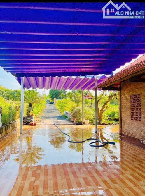 NHÀ VƯỜN GẦN BIỂN, GẦN CAO TỐC,  SẴN THỔ CƯ, VƯỜN CÂY ĂN TRÁI - AO SEN TUYỆT ĐẸP - 4