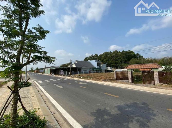 HÀNG NGỘP BANK - CẦN BÁN LÔ DT 126M2 - GIÁ 2TỶ250, THIỆN CHÍ CHỐT GIÁ LỖ SO VỚI THỊ TRƯỜNG - 3