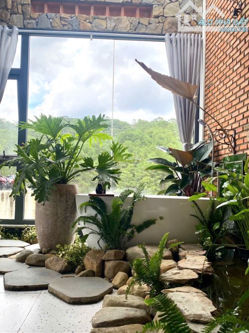 Cần bán khách sạn view đỉnh gần gũi thiên nhiên lâu lâu thấy khỉ đu cành thông - 4