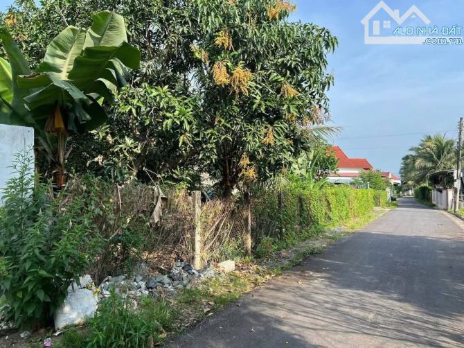 Bán đất Suối Tiên mặt tiền đường nhựa thông thoáng gần Hương Lộ 39 - tặng vườn cây trái - 6