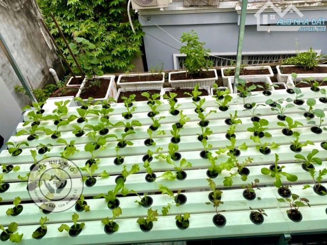 60m2, BÁN NHÀ 3 TẦNG, 1/ PHẠM NGŨ LÃO, P4 GÒ VẤP, Nhỉnh 5 TỶ - 6