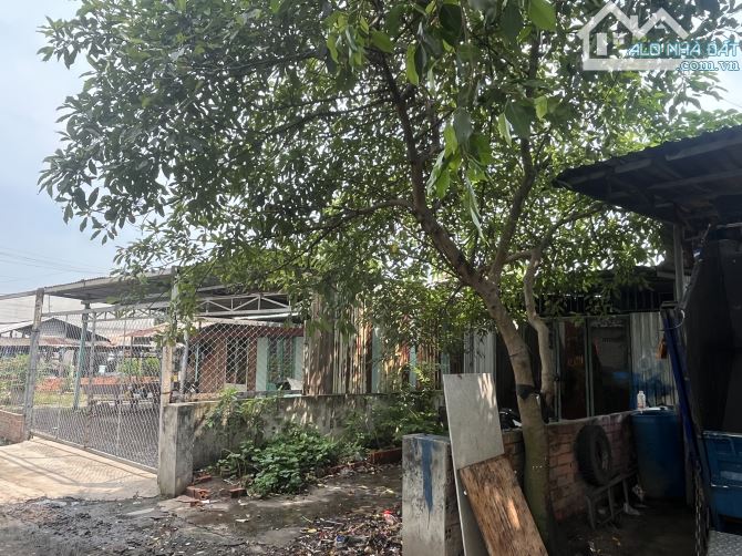 🏦QUẬN 12 HT Bùi Văn Ngữ HẺM 265 DTCN 80M2 CẤP 4 NGANG X20 CHỈ 3.2 tỷ TL - 7