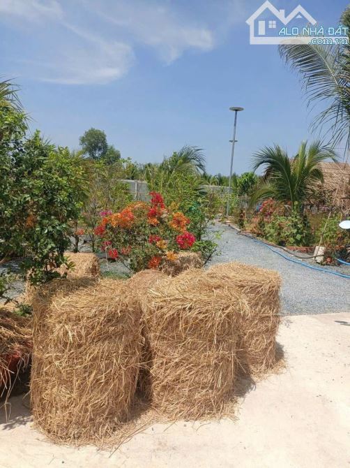 Nhà vườn 500m2 đất view kênh cực đẹp chỉ 980tr - 8