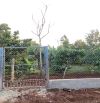 ĐẤY SÀO EATU KM12 QL 26 NGAY KHU DÂN CƯ - Loctran