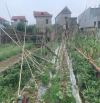 Giá tốt cho nhà đầu tư 100,5m Quang Tiến -Sóc Sơn -Hà Nội