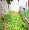 HOÀI ĐỨC GẦN Ô TÔ - SÁT VÀNH ĐAI 4 - SỔ VUÔNG ĐẸP DIỆN TÍCH 52M - GIÁ ĐẦU TƯ