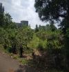 Bán đất Quảng Thành 9400m², 140m mặt tiền, có 150m² thổ cư – Giá chỉ 5.8 tỷ