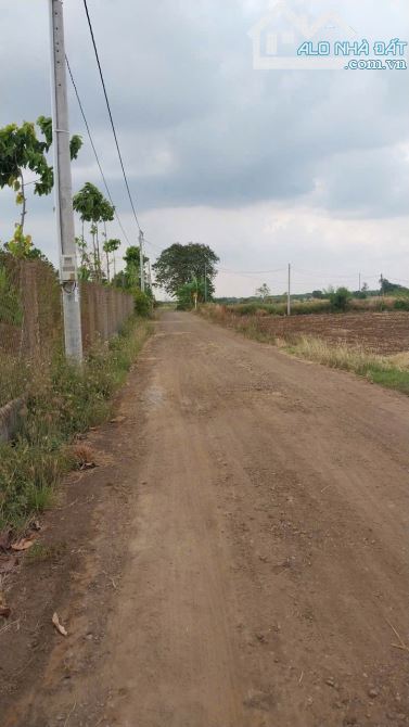 10000m2 vườn trái cây nhà ở giá rẻ xã xuân phú huyện Xuân Lộc