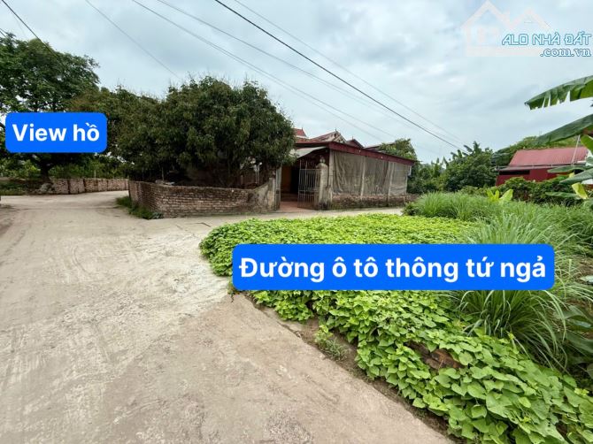 Góc 66,2m đất ở Bá Khê, Liên Nghĩa, Văn Giang đường ô tô thông tứ ngả, gần Hồ thoáng mát…