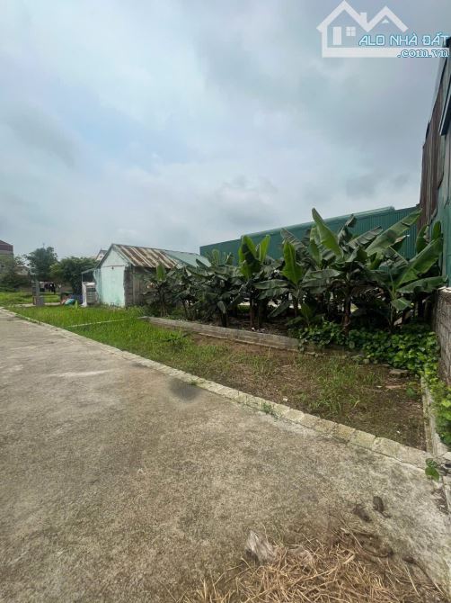 🚀 Đất xâm xuyên - Hồng Vân - Thường Tín - HÀ NỘI  🌽 Diện tích : 42m Mặt tiền : 10,25m -