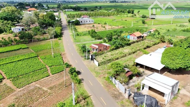 🍇Bán Lô Đất 9m Mặt tiền Đường Nam Kì Khởi Nghĩa TT Đất Đỏ - BRVT - TDT: 492m2 ( 9x52 ) th