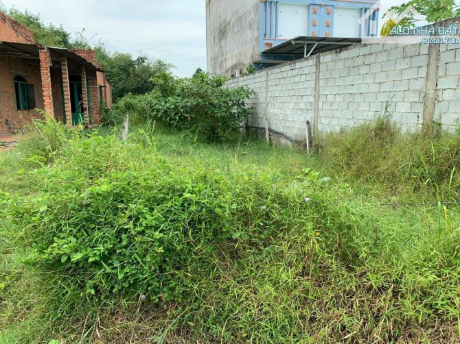 Bán đất thổ vườn 1 xẹt đường TL7 trung tâm xã An Nhơn Tây Củ Chi TPHCM, DT: 6x48m.