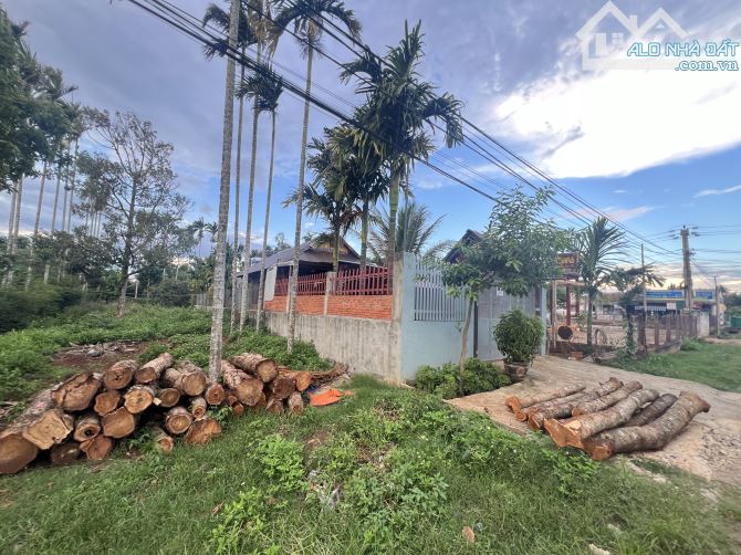 Cần Bán Nhà Thôn 1 Đạt Lý Diện Tích 6x40 Chỉ Cần Dọn Vào Ở Thôi