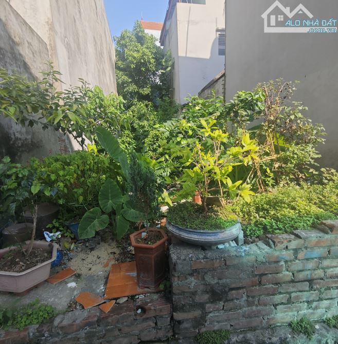 Bán đất Đông Mỹ, Thanh Trì, 65m2, ô tô vào đất, sổ đẹp giá hơn 4 tỷ - 1
