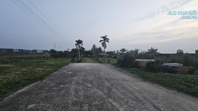 SIÊU ĐẤT 6500M2 - 65X100M - 1400M2 THỔ CƯ - MT HÓC MÔN - QH DÂN CƯ HH - NHỈNH 5X TỶ - 1
