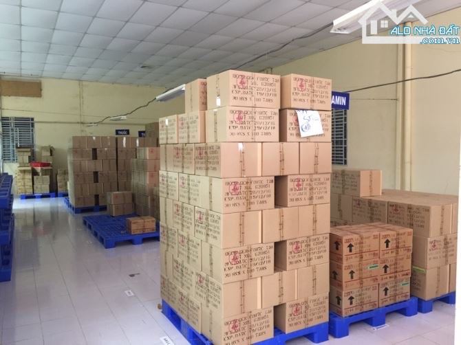 Cho thuê 580 m2 Kho và sân gần chợ An Thới có điện 3 pha - 1