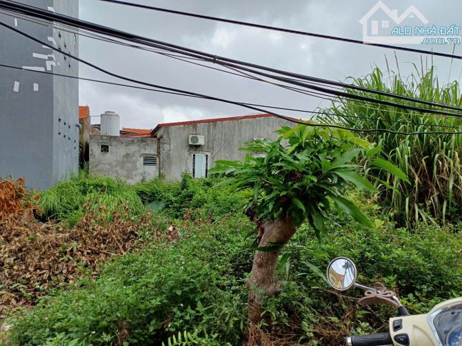 LÔ ĐẤT RẺ TẠI TRUNG TÂM QUẬN ĐỒ SƠN VỚI 64,2M2 GIÁ HƠN 9OOTR - 1